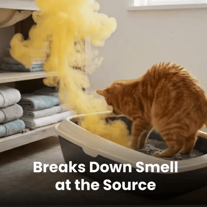 Portable Ozone Deodorizing Stick | Deeply Eliminate Odors at the Source
