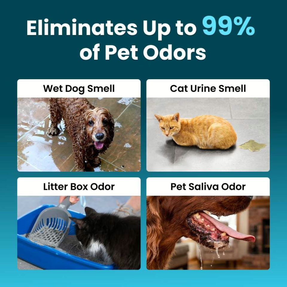 Portable Ozone Deodorizing Stick | Deeply Eliminate Odors at the Source